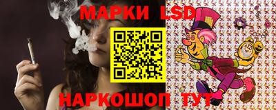 шишки Беслан
