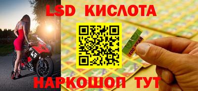 шишки Беслан
