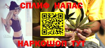 шишки Беслан
