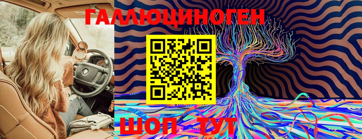 Галлюциногенные грибы MAGIC MUSHROOMS Кандалакша